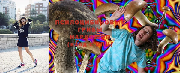 марки lsd Богородицк